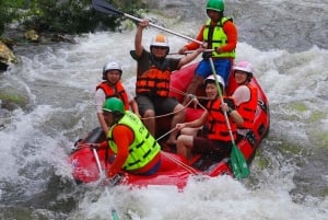 푸켓: 급류 래프팅 어드벤처 & 원숭이 사원, 전지형차(ATV)