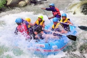 푸켓: 급류 래프팅 어드벤처 & 원숭이 사원, 전지형차(ATV)