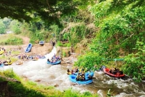 푸켓: 급류 래프팅 어드벤처 & 원숭이 사원, 전지형차(ATV)