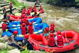 푸켓: 급류 래프팅 어드벤처 & 원숭이 사원, 전지형차(ATV)