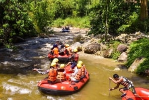 푸켓: 급류 래프팅 어드벤처 & 원숭이 사원, 전지형차(ATV)