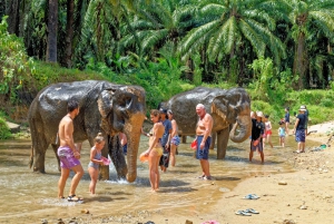 Phuket: White Water Rafting and Jungle Adventure with Lunch