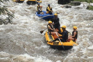 푸켓 팡아에서 즐기는 화이트 워터 래프팅 (얼리버드)
