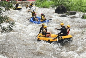 푸켓 팡아에서 즐기는 화이트 워터 래프팅 (얼리버드)