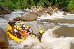푸켓 팡아에서 즐기는 화이트 워터 래프팅 (얼리버드)