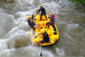 푸켓 팡아에서 즐기는 화이트 워터 래프팅 (얼리버드)