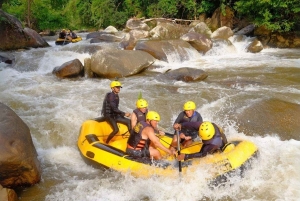 푸켓 팡아에서 즐기는 화이트 워터 래프팅 (얼리버드)