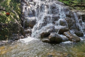 푸켓 팡아에서 즐기는 화이트 워터 래프팅 (얼리버드)