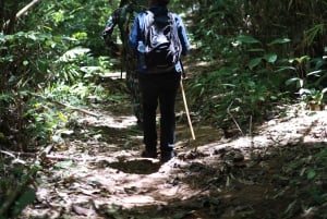Phuket: Trekking nel santuario della fauna selvatica con pranzo