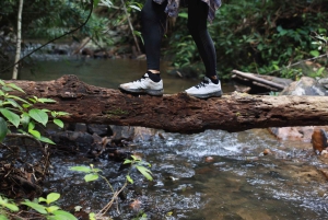 Phuket: Trekking nel santuario della fauna selvatica con pranzo