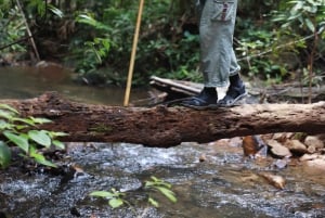 Phuket: Trekking nel santuario della fauna selvatica con pranzo