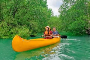 Phuket Zipline Adventure & Local Floating Farm Experience