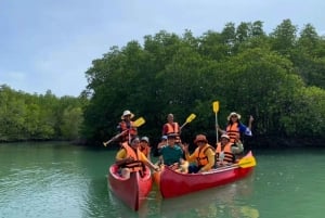 Przygoda na tyrolce w Phuket i doświadczenie lokalnej pływającej farmy