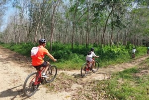 جولة جماعية صغيرة في مسارات فوكيت المخفية لركوب الدراجات