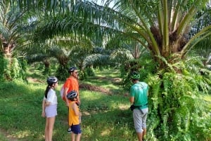 جولة جماعية صغيرة في مسارات فوكيت المخفية لركوب الدراجات