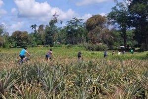 جولة جماعية صغيرة في مسارات فوكيت المخفية لركوب الدراجات
