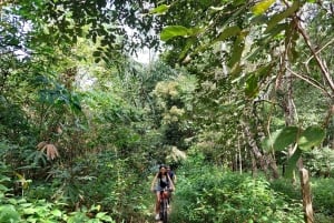 جولة جماعية صغيرة في مسارات فوكيت المخفية لركوب الدراجات