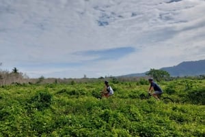 جولة جماعية صغيرة في مسارات فوكيت المخفية لركوب الدراجات