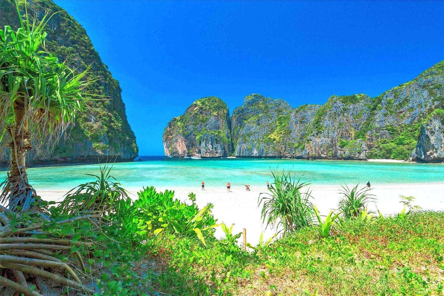 Viagem Premium a partir de Phuket: Phi Phi, Baía Maya e Ilhas Khai