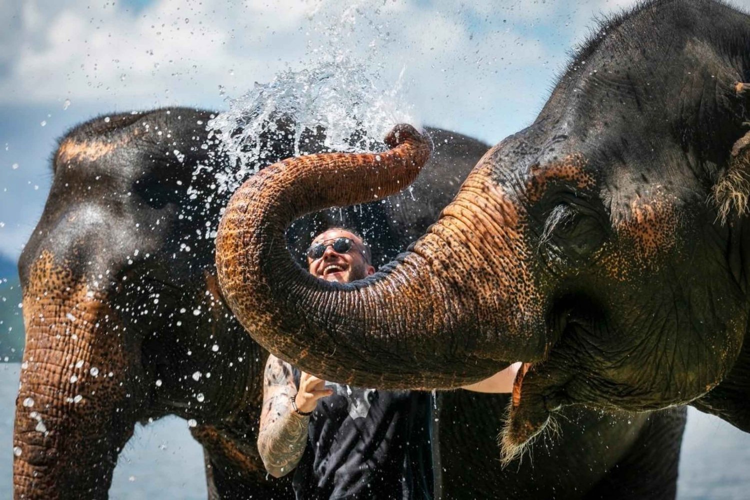 Phuket: Besök på elefantvårdsläger och djungelpromenad med elefanter