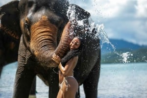 Phuket: Feed, Bathe, and Jungle Walk with Elephants