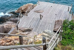 جولة خاصة بالسيارة في كوه تاو 8 وجهات نظر وشاطئ كوه تاو