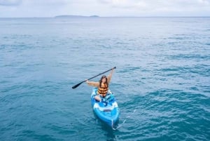 يخت كاتاماران خاص إلى جزيرة فاي فاي