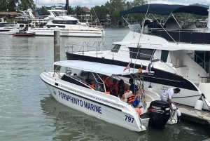 Private Luxury Speed boat to Phi Phi Islands