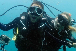 Private Pick-up Transfer to Phuket Scuba Diving Center