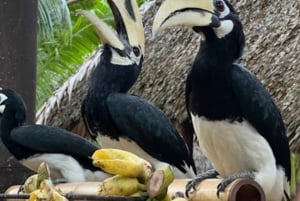 Raya et Coral Island depuis Phuket