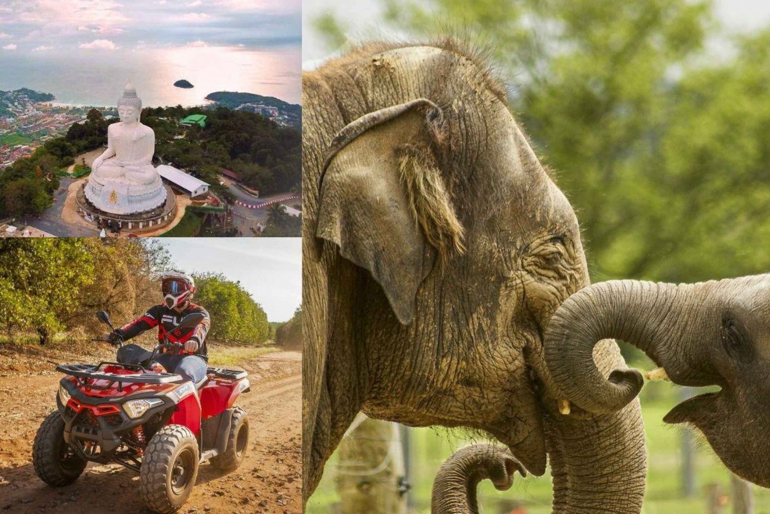 Percorsi safari e avventure off-road con Big Buddha