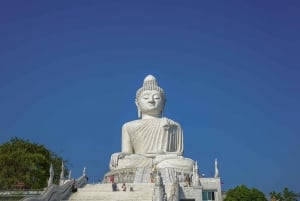 Safari Trails & Off-Road Ventures with Big Buddha