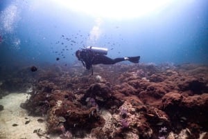 Scuba Diving in Phuket – 4-Day 3-Night Experience