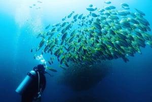 Scuba Diving in Phuket – 4-Day 3-Night Experience