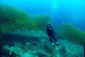 Scuba Diving in Phuket – 4-Day 3-Night Experience
