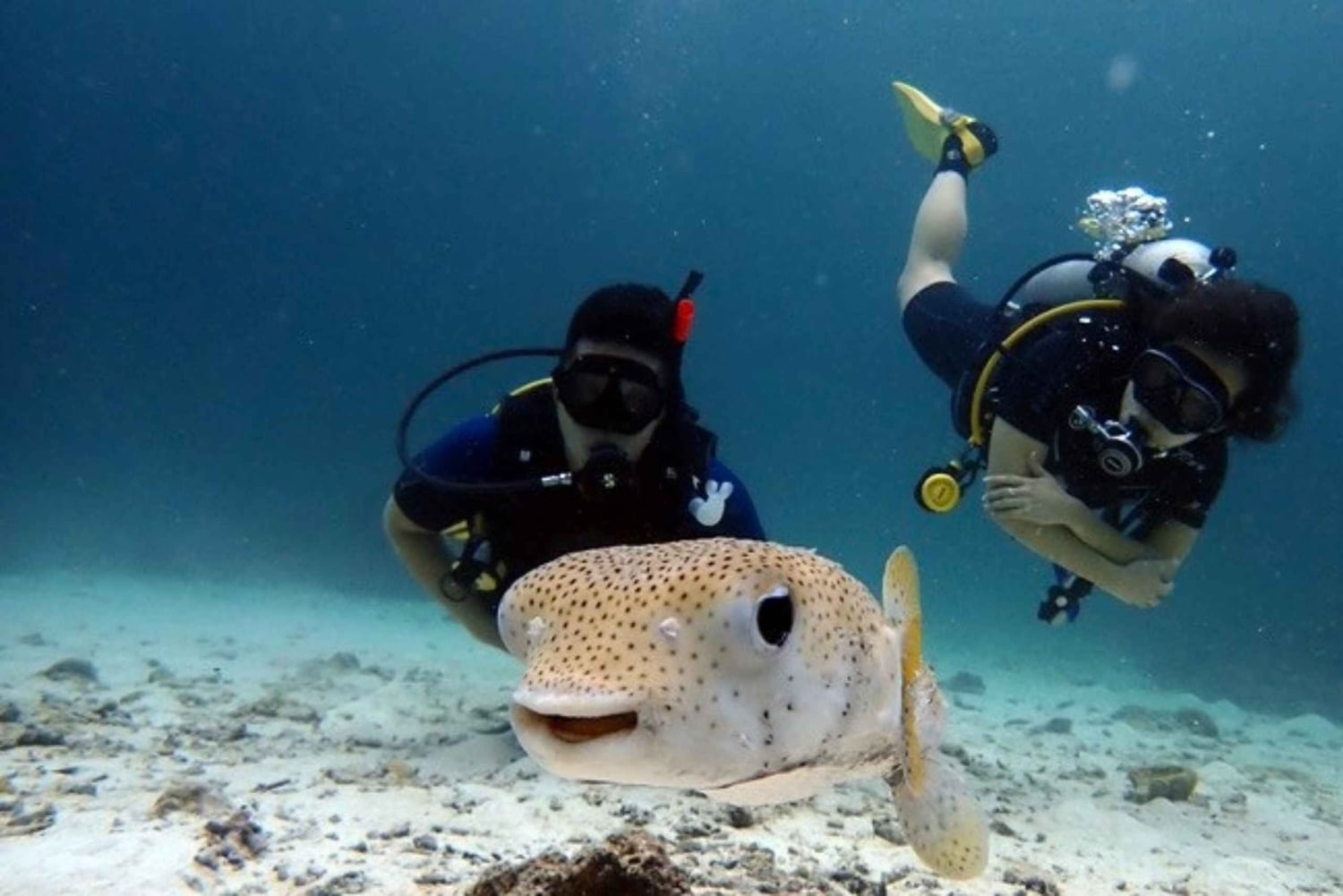 스쿠버 다이빙 리프레셔(3 다이빙)