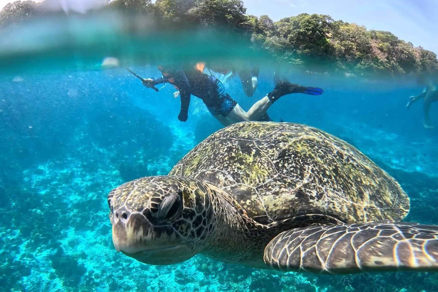 Passeio de catamarã pelas Ilhas Similan + transporte de ida ou volta para o aeroporto
