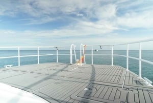 Симиланские острова: тур на новом катамаране + бесплатный трансфер в одну сторону