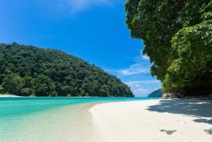 Surin Islands Snorkeling Day Trip from Phuket or Khaolak