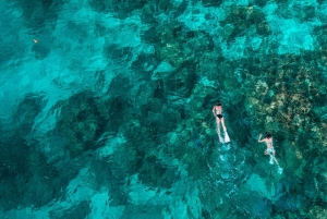 Surinin saaret: Uiminen ja snorklaus päiväretki