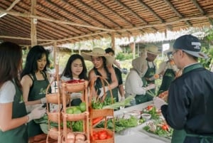 Cours de cuisine thaïlandaise et vie dans un sanctuaire naturel