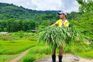 Cours de cuisine thaïlandaise et vie dans un sanctuaire naturel