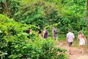 Cours de cuisine thaïlandaise et vie dans un sanctuaire naturel