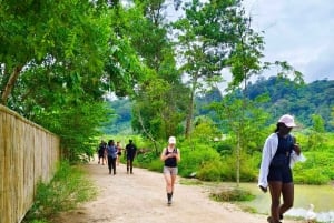 Cours de cuisine thaïlandaise et vie dans un sanctuaire naturel