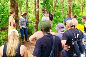 Cours de cuisine thaïlandaise et vie dans un sanctuaire naturel