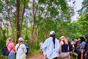 Cours de cuisine thaïlandaise et vie dans un sanctuaire naturel