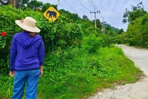 Cours de cuisine thaïlandaise et vie dans un sanctuaire naturel