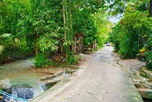 Cours de cuisine thaïlandaise et vie dans un sanctuaire naturel