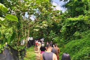 Cours de cuisine thaïlandaise et vie dans un sanctuaire naturel