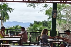 Cours de cuisine thaïlandaise et vie dans un sanctuaire naturel
